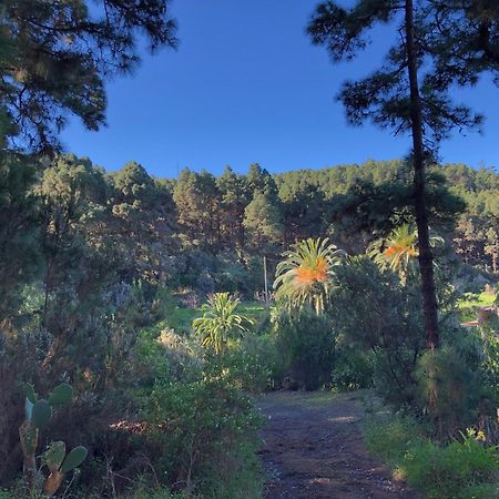 Monte Frio De Tenerife La Guancha Екстериор снимка