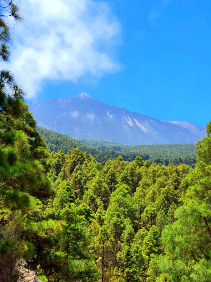 Monte Frio De Tenerife La Guancha Екстериор снимка